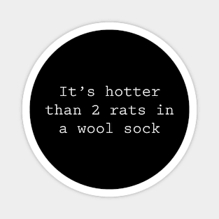 It's hotter than 2 rats in a wool sock Magnet